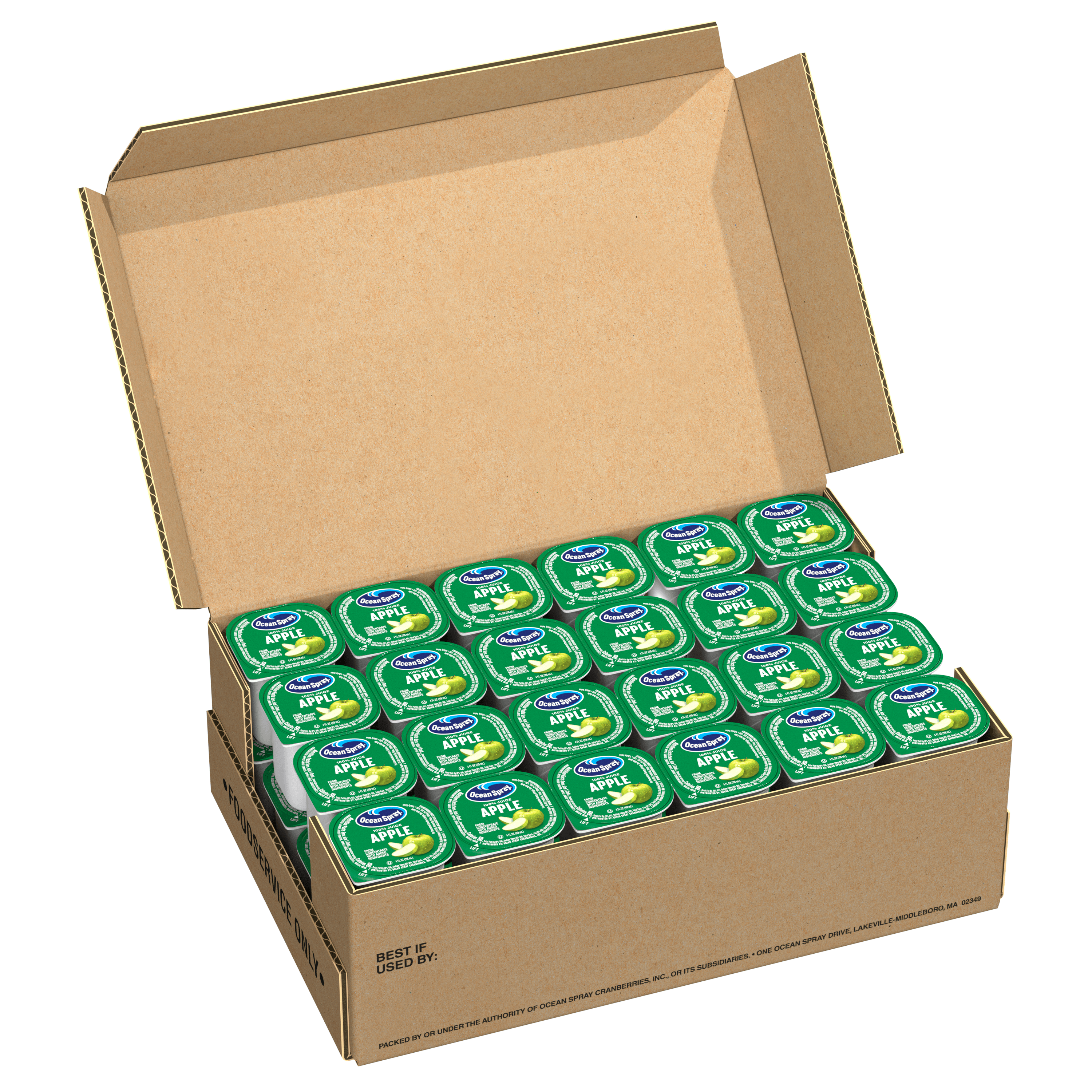 Apple 48ct open tray